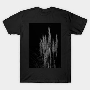 Vertical pampas grass on black background. T-Shirt